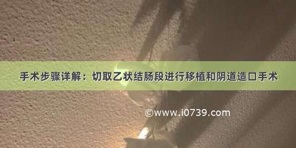 手术步骤详解：切取乙状结肠段进行移植和阴道造口手术