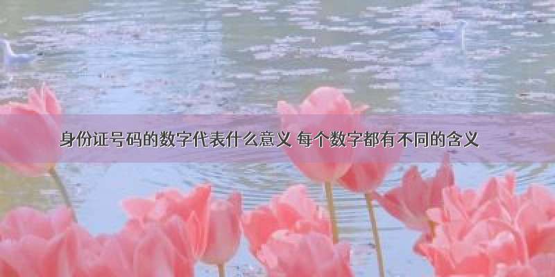 身份证号码的数字代表什么意义 每个数字都有不同的含义