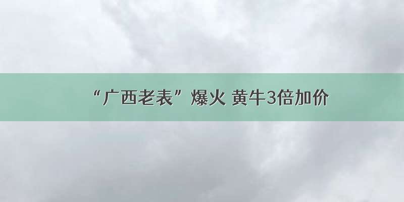 “广西老表”爆火 黄牛3倍加价