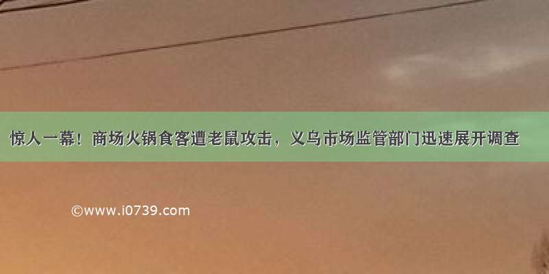 惊人一幕！商场火锅食客遭老鼠攻击，义乌市场监管部门迅速展开调查