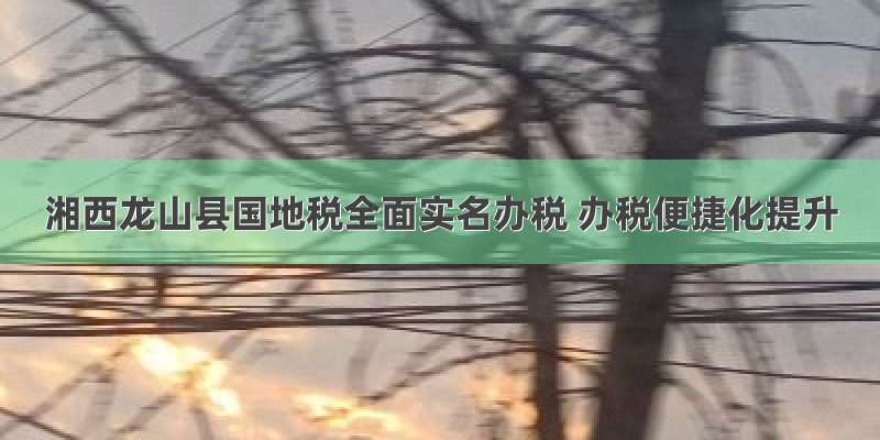 湘西龙山县国地税全面实名办税 办税便捷化提升