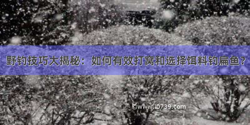 野钓技巧大揭秘：如何有效打窝和选择饵料钓扁鱼？