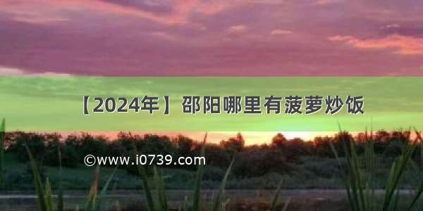 【2024年】邵阳哪里有菠萝炒饭